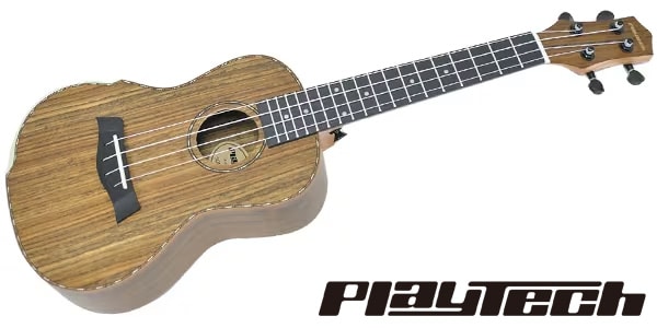 PLAYTECH / AU88AM-23