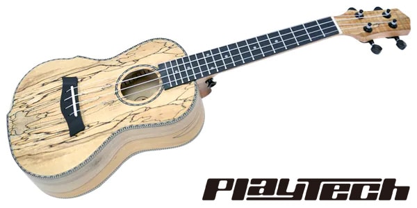 PLAYTECH / AU80AM-23