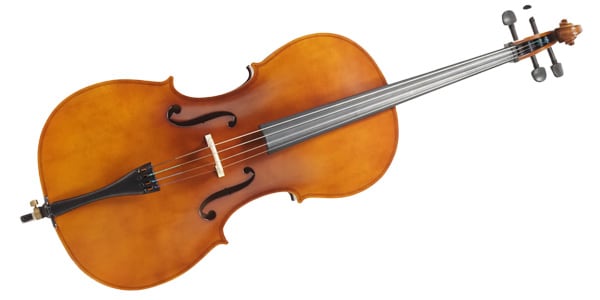 PLAYTECH / PVC144BR Cello Brown 4/4画像2