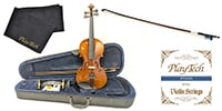 PLAYTECH / PVN144 Violin 4/4 Beginner Set II