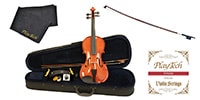 PLAYTECH / PVN344 Violin 4/4 Beginner Set V