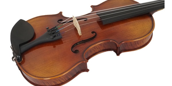 PLAYTECH / PVN644 Violin 4/4画像2
