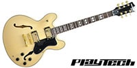 PLAYTECH / SA500 Flame Natural