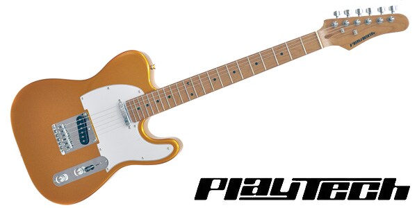 PLAYTECH/TL280 Gold　【カーボナイズド・メイプルネック】