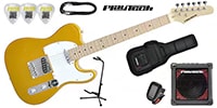 PLAYTECH / TL250ギター入門セットMaple Gold
