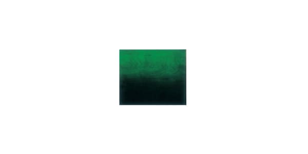 PLAYTECH ( プレイテック ) / ZDS5000 Green Burst画像2