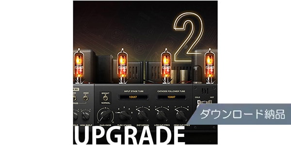 Positive Grid ( ポジティブ グリッド )  / BIAS AMP 2 Std UPG from BIAS AMP Std ダウンロード納品