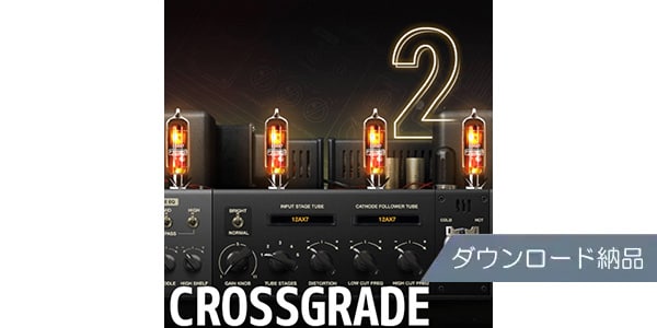 Positive Grid / BIAS AMP 2 Elite CG from BIAS FX 2 Elite download delivery