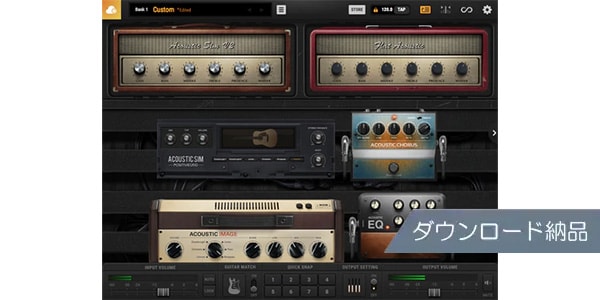 Positive Grid / Acoustic Expansion Pack download delivery