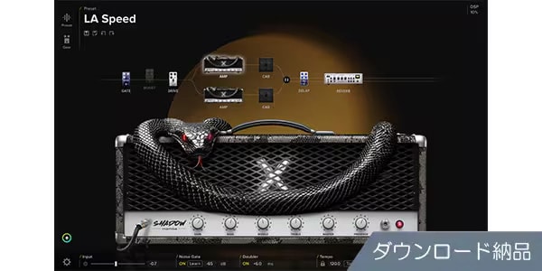 Positive Grid ( ポジティブ グリッド )  / BIAS X ダウンロード納品