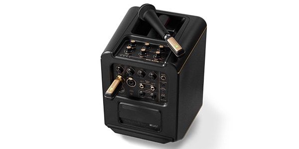 Positive Grid / Spark LINK XLR画像11