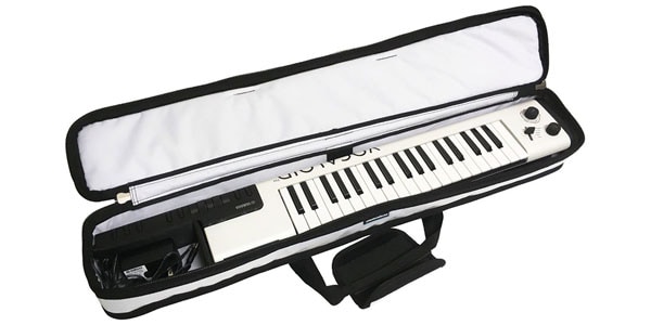 PROTECTIONRACKET / LPTRKTGIG(7279-63) KTGIGケース画像2
