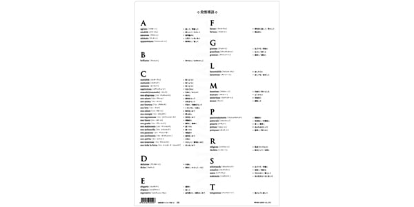 PRIMA GAKKI / PRSP-2 Music terminology file画像2