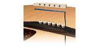 FISHMAN AGX-094 Narrow (2.3mm) Classical & 12-string