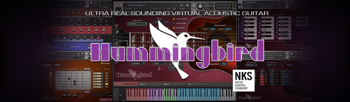 PROMINY/Hummingbird ダウンロード納品