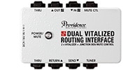 PROVIDENCE DUAL VITALIZED ROUTING INTERFACE DVI-1M