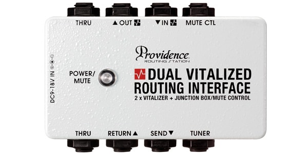 PROVIDENCE/DUAL VITALIZED ROUTING INTERFACE DVI-1M