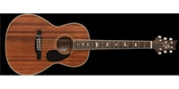 Paul Reed Smith (PRS) / SE P20 Parlor Vintage Mahogany