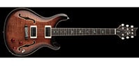 Paul Reed Smith (PRS) / SE HOLLOWBODY II PIEZO - Black Gold