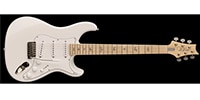 Paul Reed Smith (PRS) / SILVER SKY Maple Frost