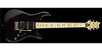 Paul Reed Smith (PRS) / FIORE Black Iris アウトレット品