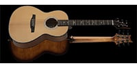 Paul Reed Smith (PRS) / SE P50 Parlor Black Gold [Gloss]