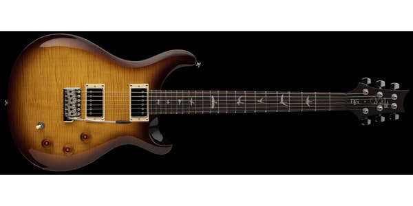 Paul Reed Smith (PRS) / SE DGT [BIRDS]   McCarty Tobacco Sunburst