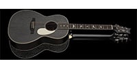 Paul Reed Smith (PRS) / RS SE P20E Dog  hair