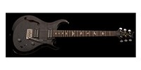 Paul Reed Smith(PRS) S2 Custom 22 Semi-hollow Elephant Grey