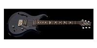 Paul Reed Smith(PRS) S2 Custom 22 Semi-hollow Whale Blue