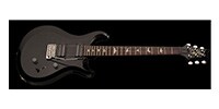 Paul Reed Smith(PRS) S2 Custom 22 Elephant Grey