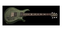 Paul Reed Smith(PRS) S2 Custom 22 Moss Green