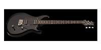 Paul Reed Smith(PRS) S2 Standard 22 Black