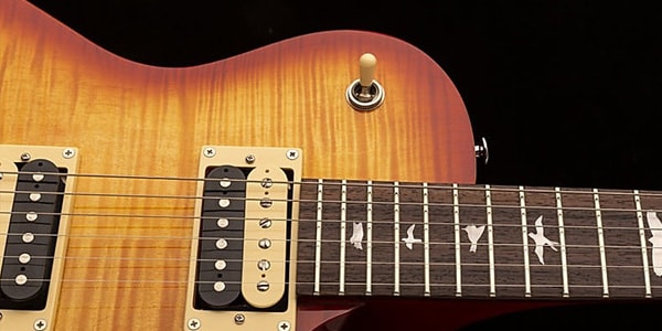 Paul Reed Smith (PRS) / SE 245 Vintage Sunburst画像3