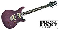 Paul Reed Smith(PRS) SE Custom24 Amethyst