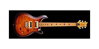 Paul Reed Smith(PRS) SE Custom 24 Roasted Maple Limited Tobacco Sunburst