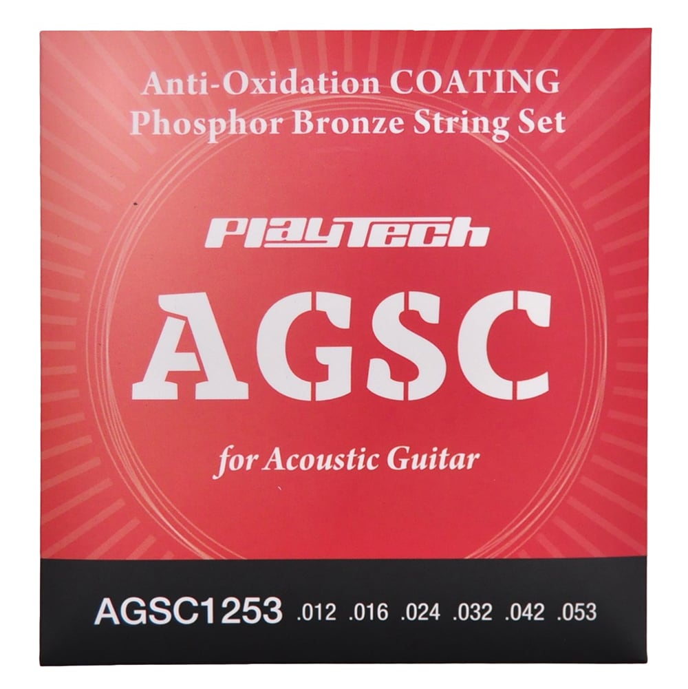 PLAYTECH AGSC コーティング弦 通販｜サウンドハウス