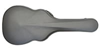 PLAYTECH / FGHD3 for acoustic guitar