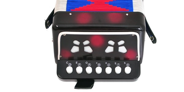 PLAYTECH / PAB100 button accordion画像2
