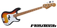 PLAYTECH PLAYTECH ( プレイテック )