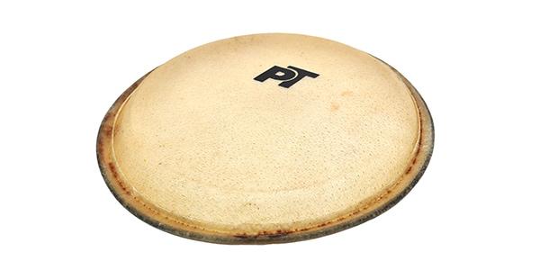 PLAYTECH / PBH85画像3