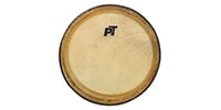 PLAYTECH / PCS10H