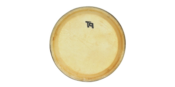 PLAYTECH / PCS11H画像2