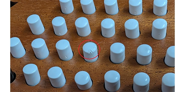 PLAYTECH ( プレイテック )  / PCT300 イングリッシュコンサーティーナ アウトレット品 画像2