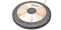 PLAYTECH / PGO40 GONG