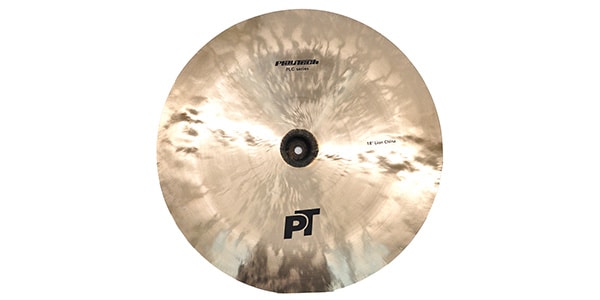 PLAYTECH ( プレイテック )  / PLC18 Lion china 18"画像3