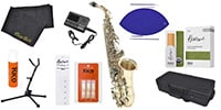PLAYTECH / PTAS-200 Alto saxophone beginner's introductory set