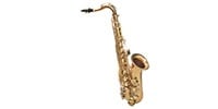 PLAYTECH / PTTS-200 Tenor saxophone