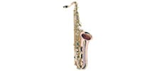 PLAYTECH / PTTS-300 Tenor saxophone