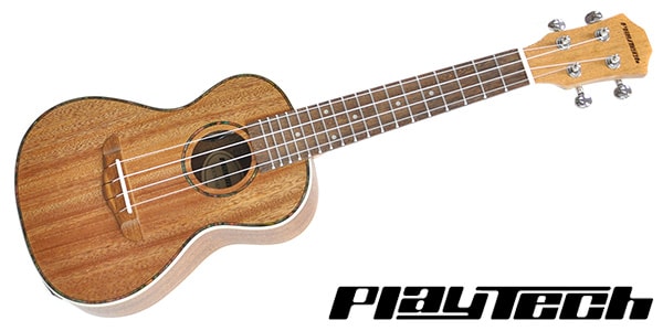 PLAYTECH/PUK201E